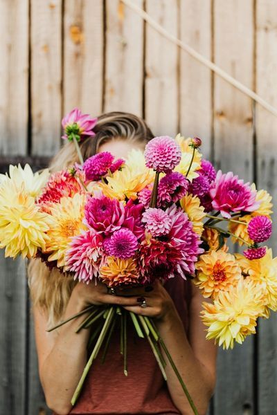 Zonder vrijwilligers geen beweging: de kracht van samen doen